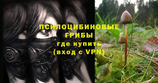 ешки Бородино