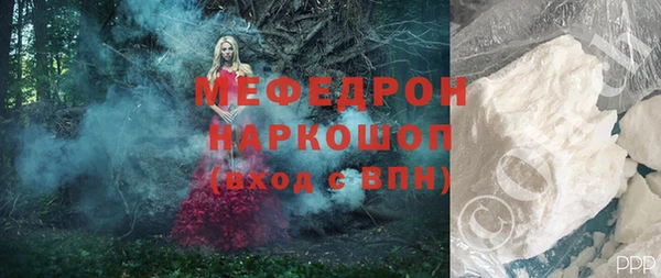 ешки Бородино