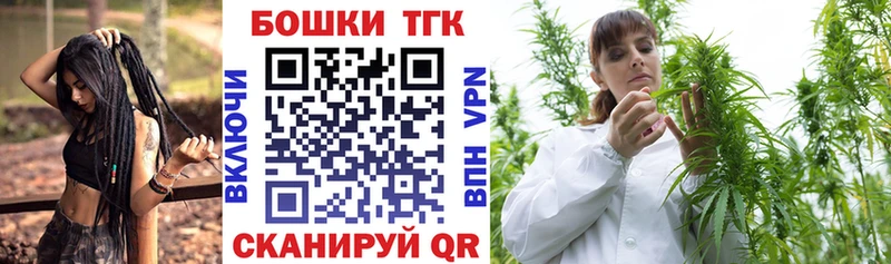 Купить  Лукоянов  Бошки Шишки планчик 